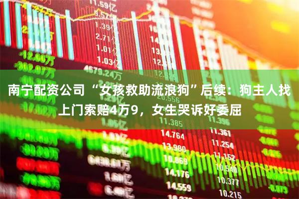 南宁配资公司 “女孩救助流浪狗”后续：狗主人找上门索赔4万9，女生哭诉好委屈