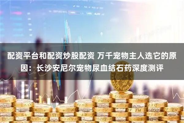 配资平台和配资炒股配资 万千宠物主人选它的原因：长沙安尼尔宠物尿血结石药深度测评