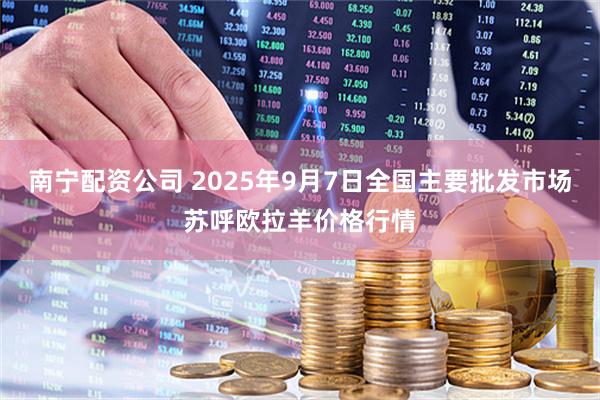 南宁配资公司 2025年9月7日全国主要批发市场苏呼欧拉羊价格行情