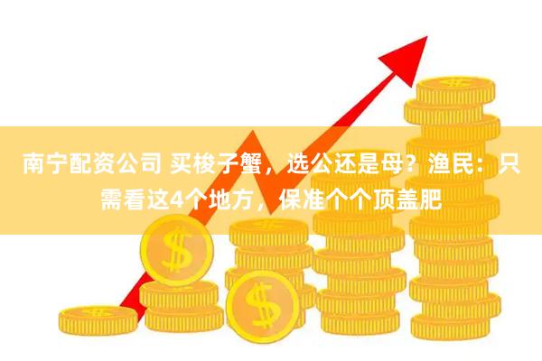 南宁配资公司 买梭子蟹，选公还是母？渔民：只需看这4个地方，保准个个顶盖肥
