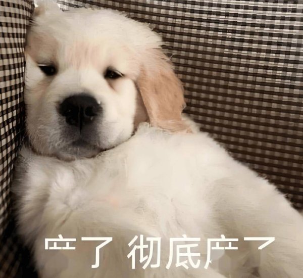 股票配资在线论坛 都在劝她见好就收？